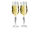 Nesting Champagne Flute Set GSI